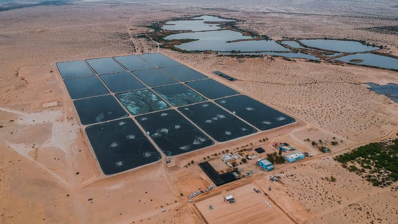 Humedales artificiales para el tratamiento de aguas residuales