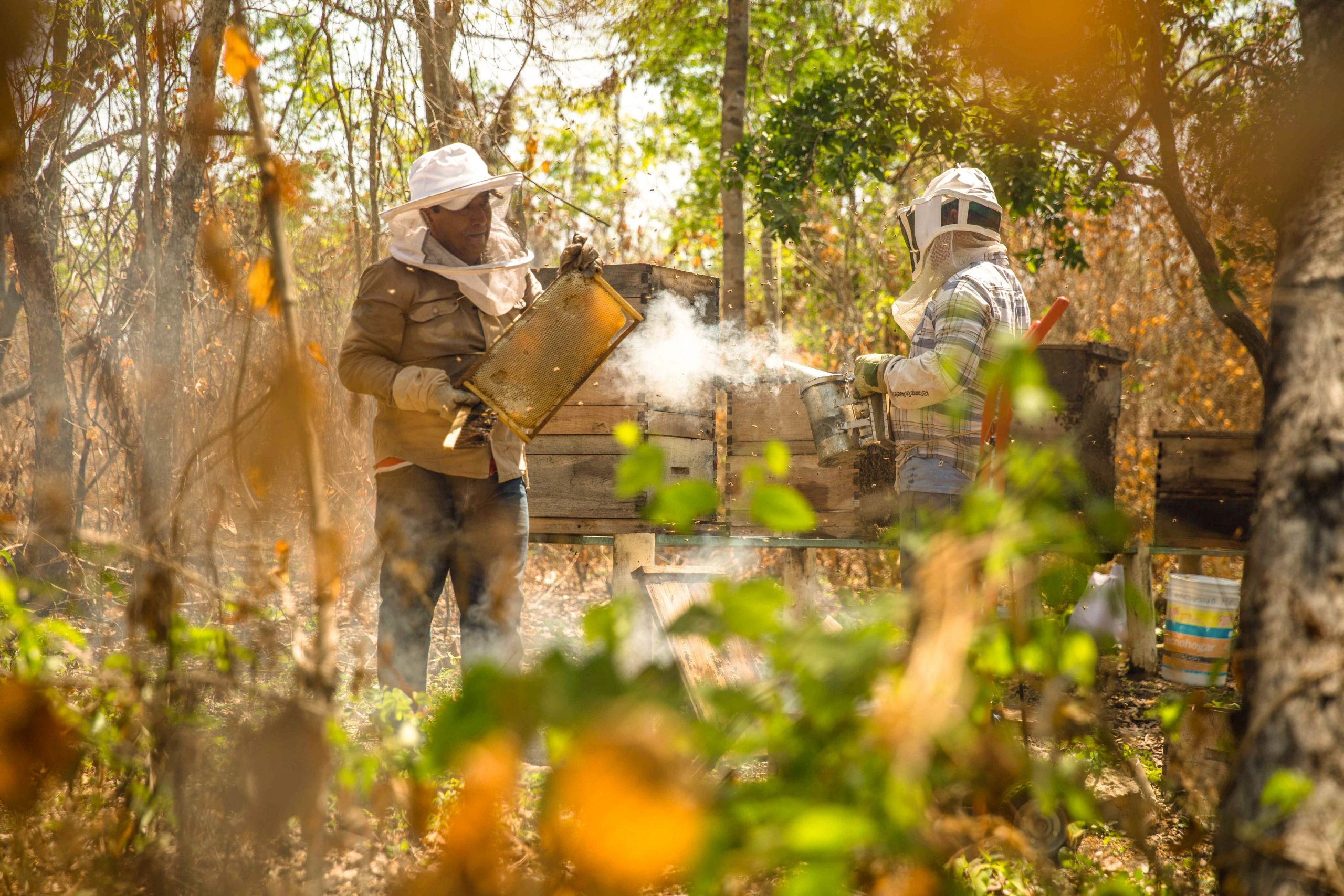 Incrementan hasta en 282% los apoyos para producción agrícola en 22 municipios de Guerrero