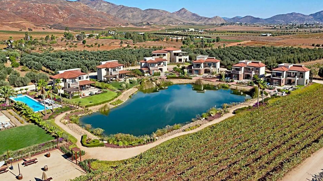 Ensenada se une al Programa de Ordenamiento Ecológico Participativo en el Valle de Guadalupe