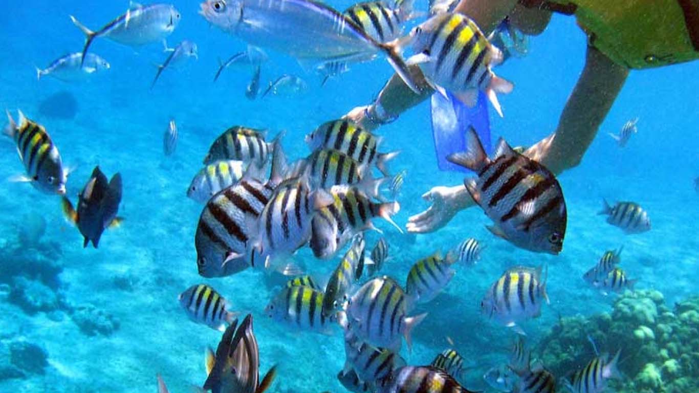Por estas razones Zihuatanejo fue elegido como destino sostenible de 2022