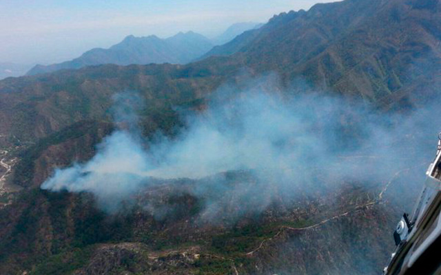 Incendio en la Biósfera “El Cielo”, Tamaulipas, está controlado al 55 por ciento