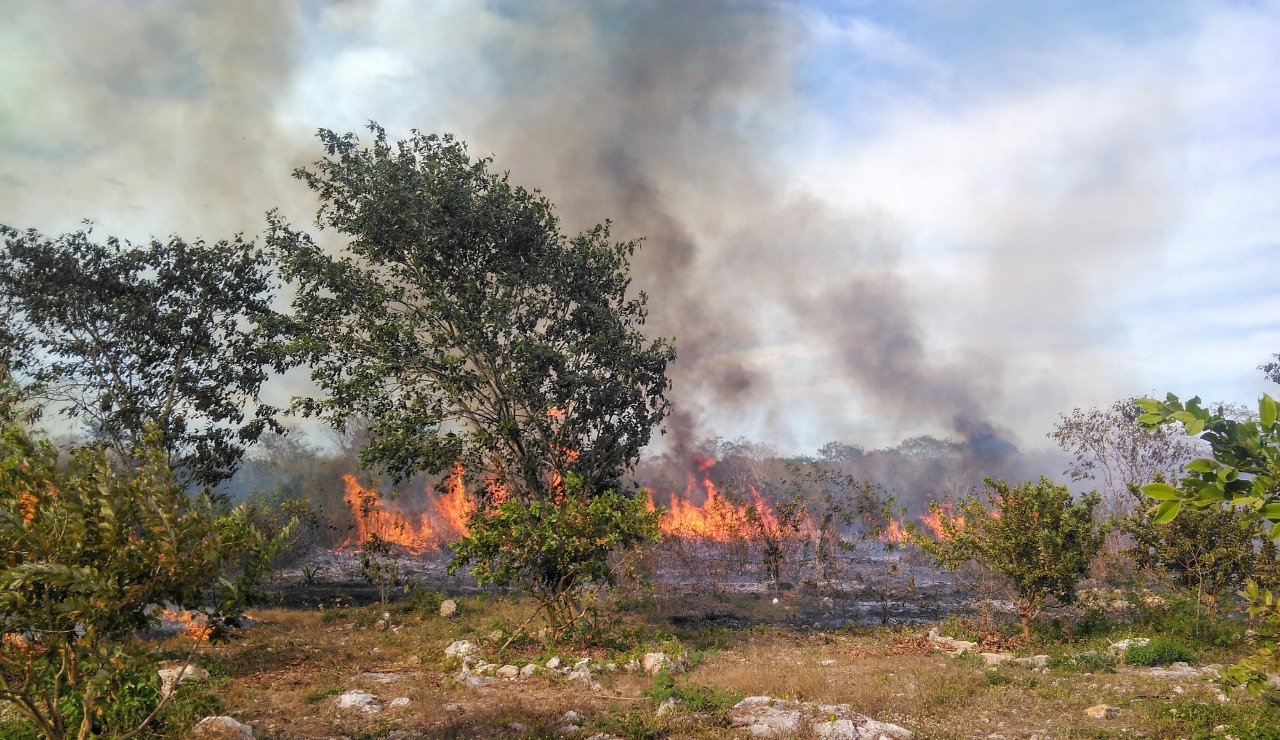 Avisos de incendios forestales y quemas mediante App