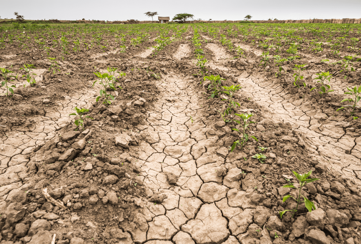 En México, emergencia ambiental se relaciona con mal manejo de recursos hídricos