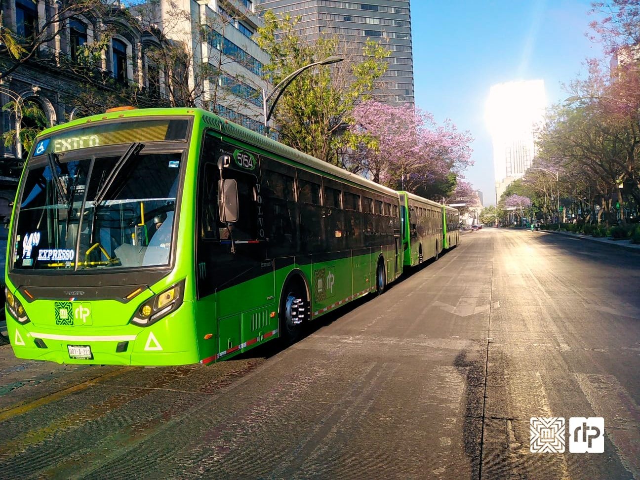 RTP lanza licitación pública internacional para la adquisición de 170 autobuses nuevos