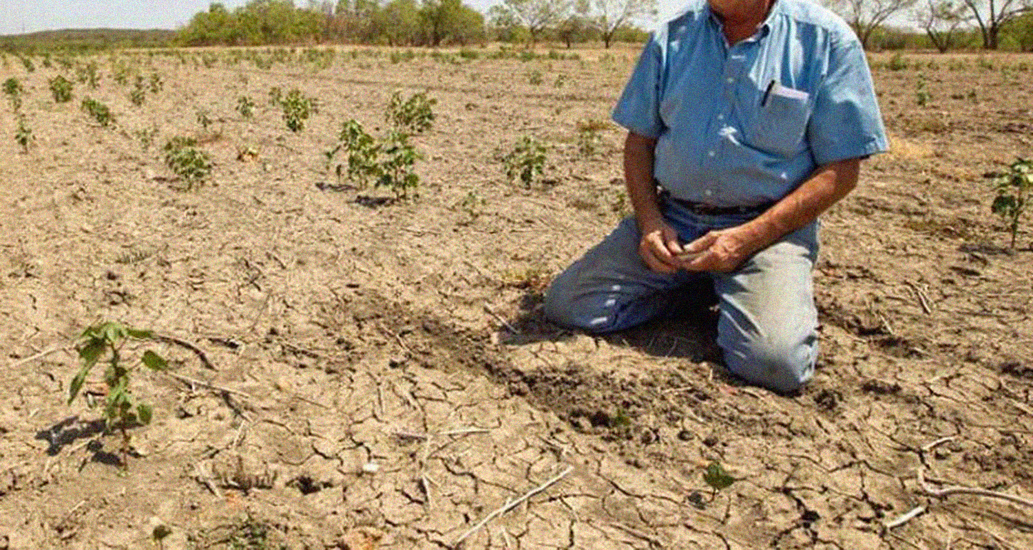 Doce municipios de Sinaloa en zona de desastre por sequía