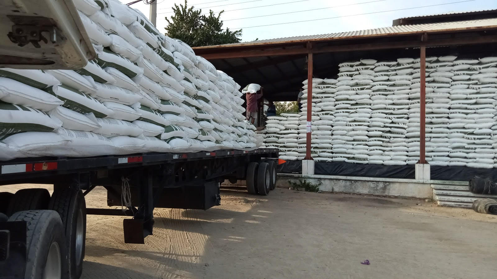 Inicia entrega de fertilizante gratuito a productores de Chiapas y Oaxaca
