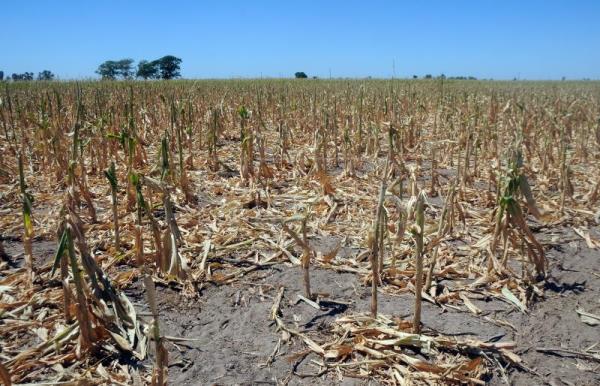 Conagua publica acuerdo para implementar medidas por sequía severa