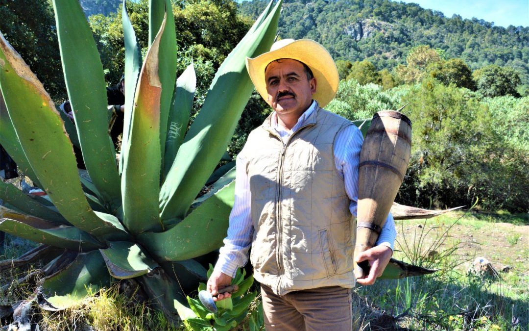 Singladura / Terrenate, orgullo y tradición tlaxcalteca