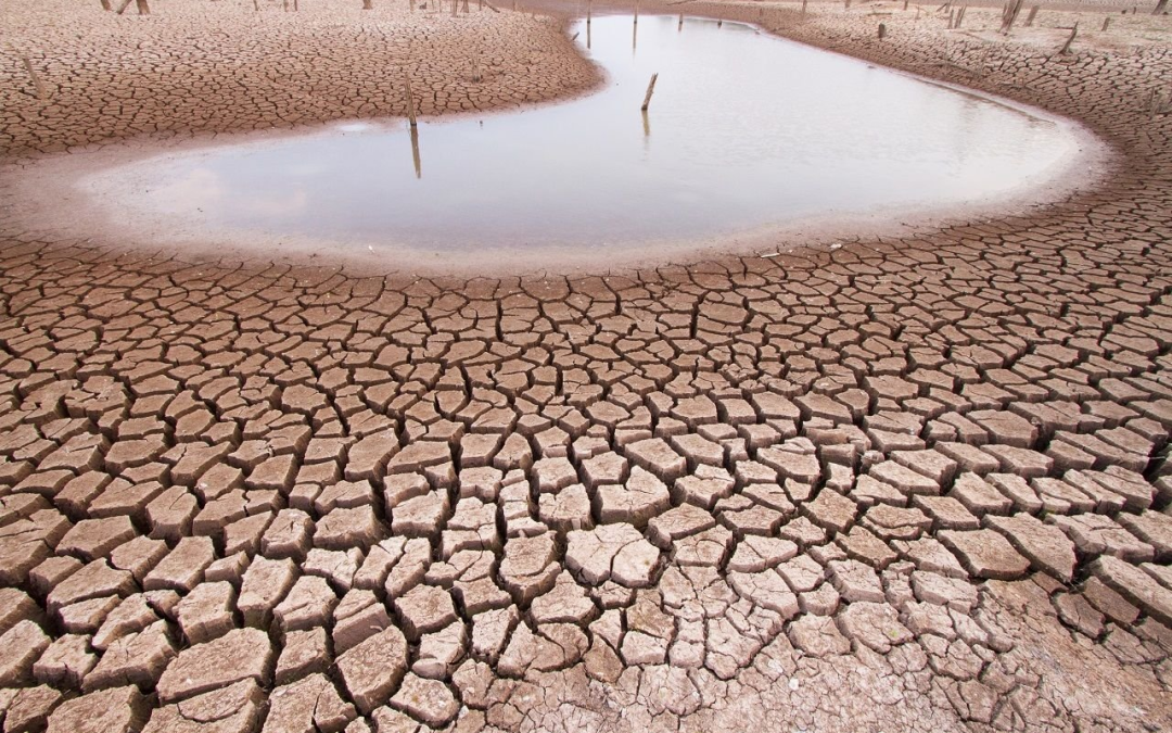 652 municipios con sequía moderada a excepcional: Conagua