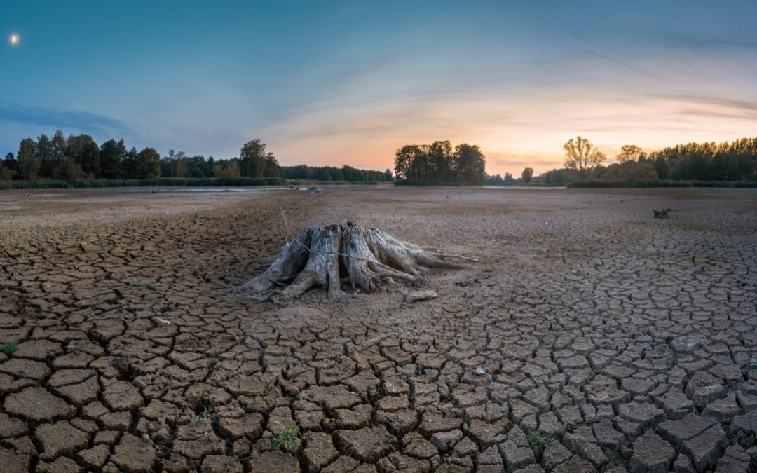 Entidades federativas podrán evaluar avances contra el cambio climático