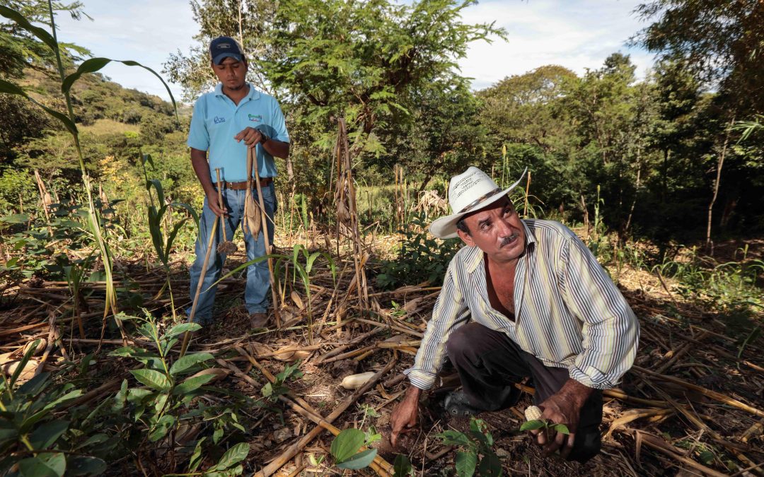 Ejidatarios de Michoacán reciben capacitación en el manejo sostenible del suelo
