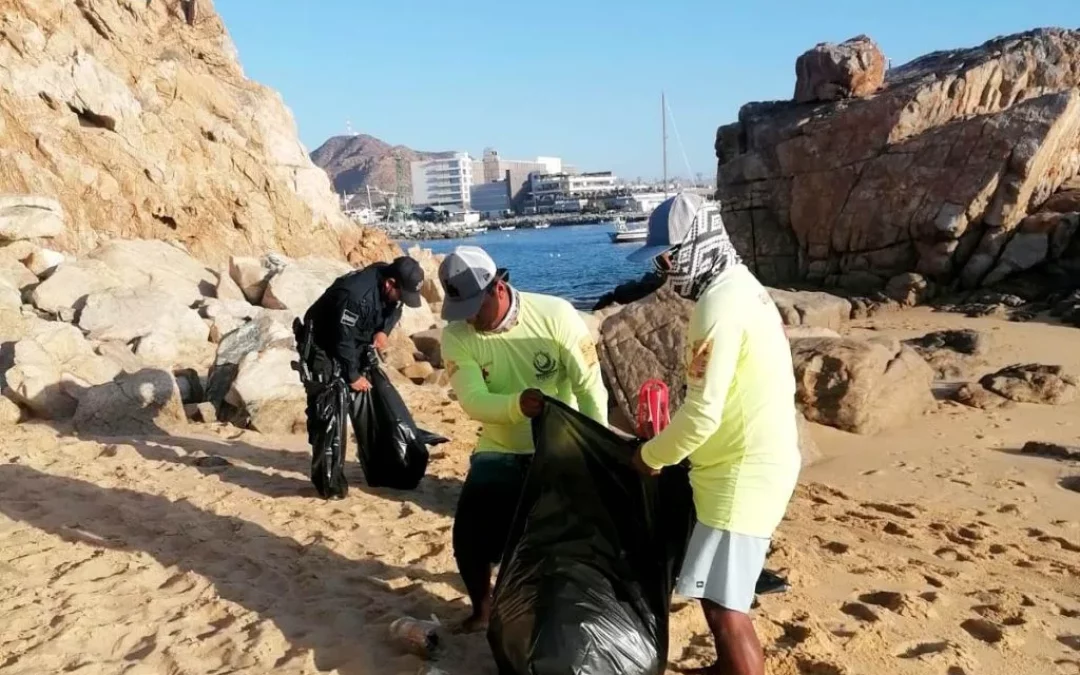 Intensifica personal de ZOFEMAT Los Cabos limpieza de playas durante la temporada navideña