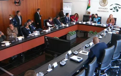 Avanza Plan B electoral en el Senado