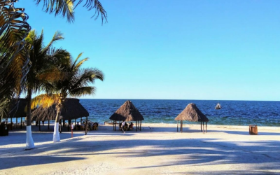 Playas aptas para uso recreativo en invierno 2022: Cofepris