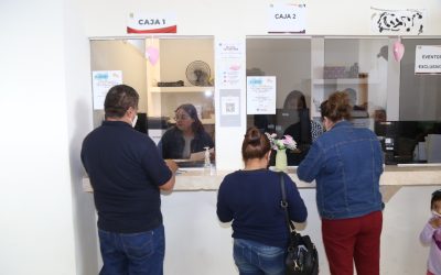 Gobierno de Los Cabos invita a propietarios de comercios establecidos a realizar el pago de refrendo de la licencia de funcionamiento