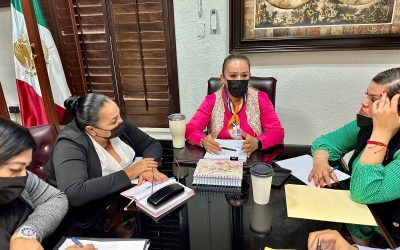 Modificarán el Programa Operativo del Sistema DIF Los Cabos para mejorar la atención a la población