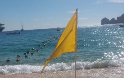 Zofemat Los Cabos por una cultura de prevención, exhorta a estar alerta con los semáforos de banderas en las playas