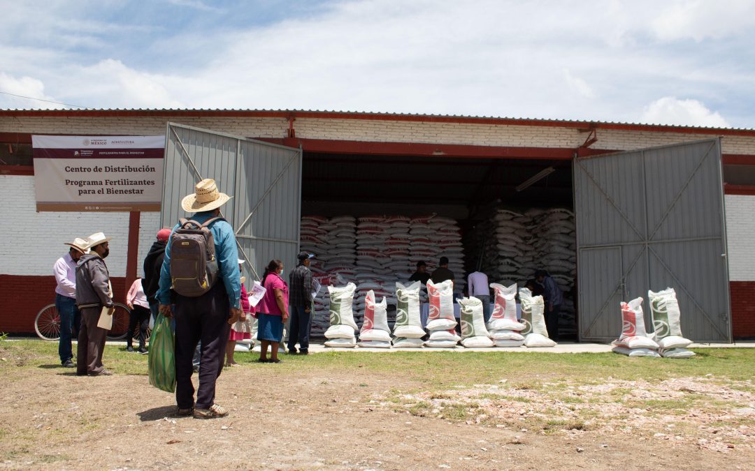 Entrega gratuita de fertilizantes a más de 290 mil agricultores chiapanecos