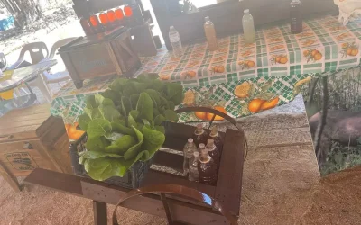El ayuntamiento de Los Cabos reapertura el “Mercado Regional”