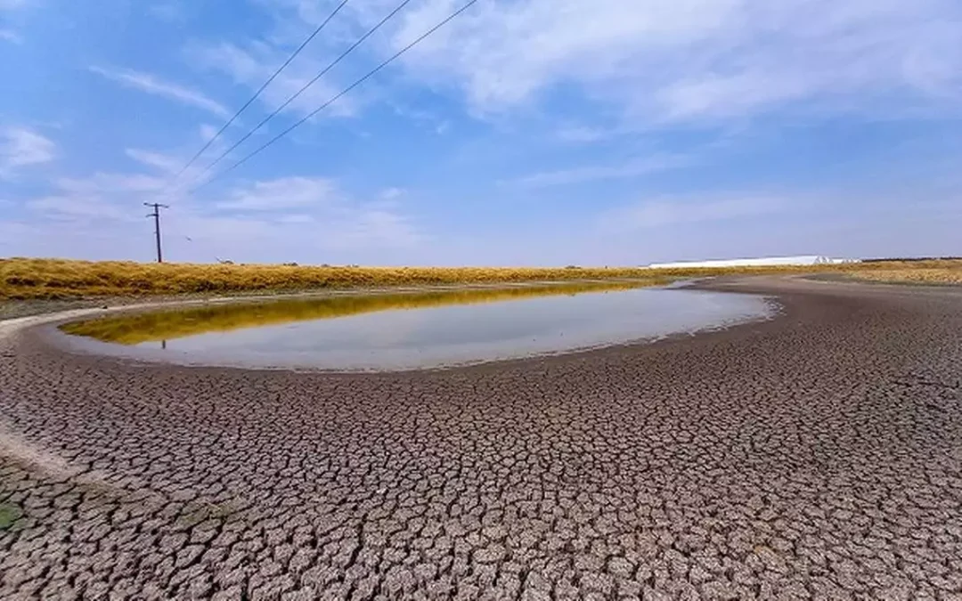 Sequía severa en el país: Estos son los pronósticos de Conagua