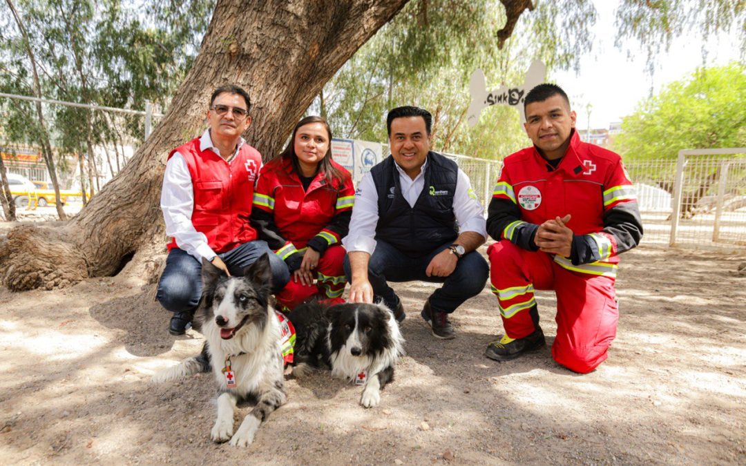 Reconocen a rescatistas de la Cruz Roja de Querétaro que acudieron a Turquía