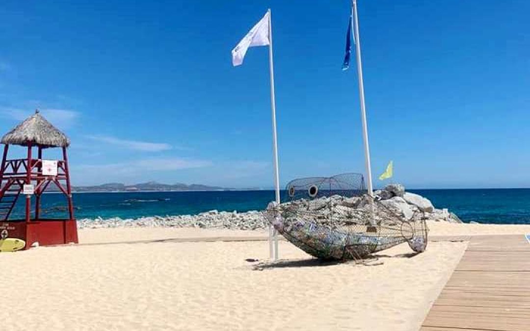 En Los Cabos del 15 al 20 de mayo se efectuará la revisión de playas Blue Flag