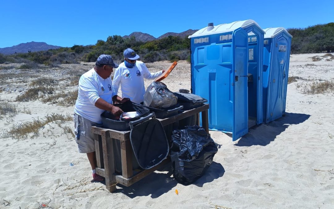 Continúa Zofemat Los Cabos con la recolección de residuos sólidos en las playas