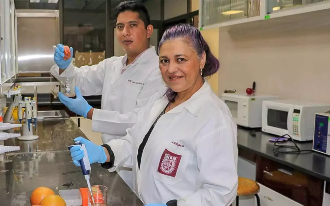 Investigadores del IPN comprueban propiedades de la toronja. ¿En qué ayuda a la salud?