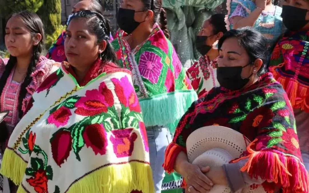 Reforma en materia de pueblos indígenas: Igualdad e inclusión social  