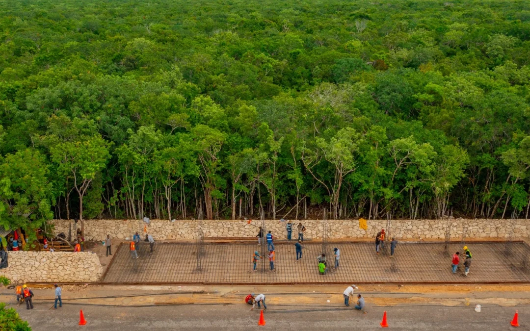 Descubre los detalles del Parque del Jaguar, proyecto de riqueza natural y cultural