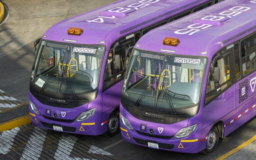 Bases para la modernización del transporte público en CDMX