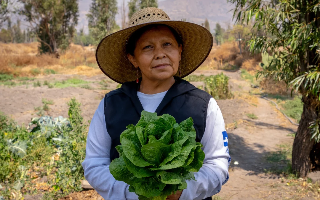 Emprendedores turísticos en CDMX reconocidos por la UNESCO