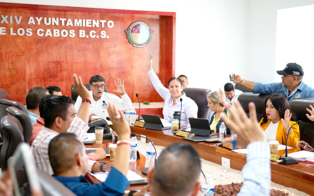 La Sindicatura trabaja para implementar un sistema digital de inmuebles y dar orden al parque vehicular del Ayuntamiento: Alondra Torres García