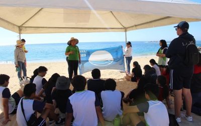 Continúa Los Cabos en el 1er lugar de México, con 25 playas certificadas por Blue Flag