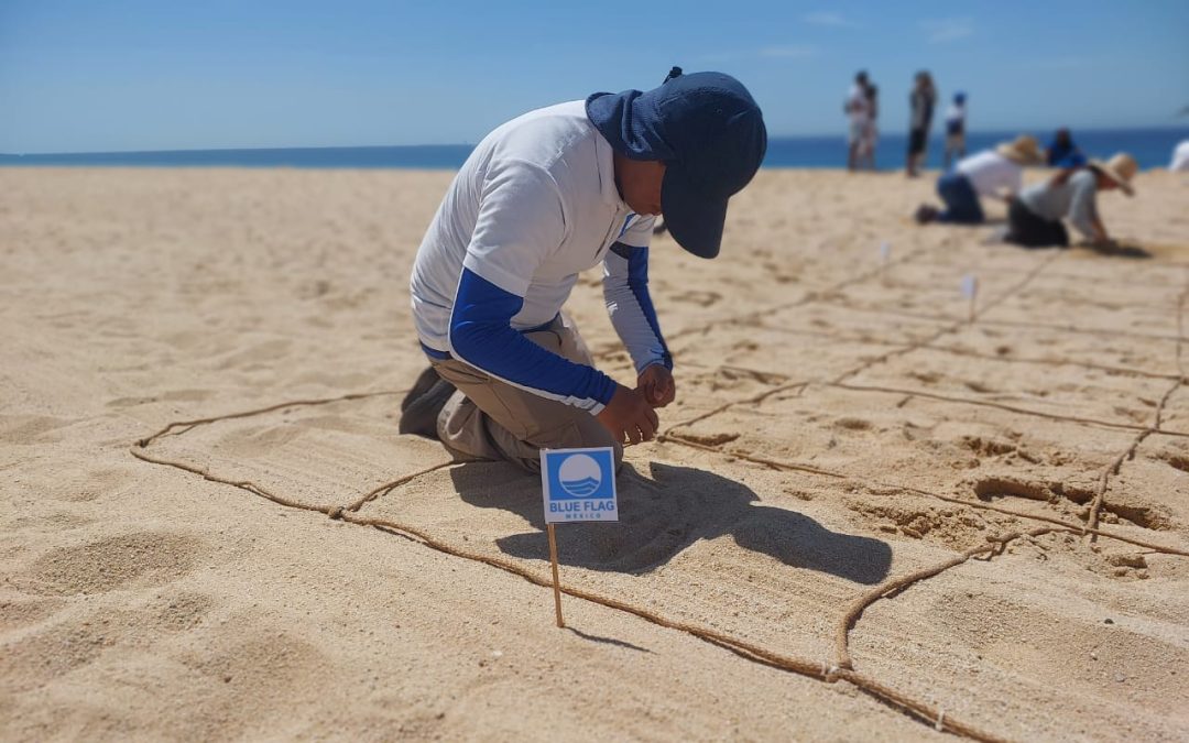 Los Cabos busca consolidar su liderazgo en la certificación internacional de playas