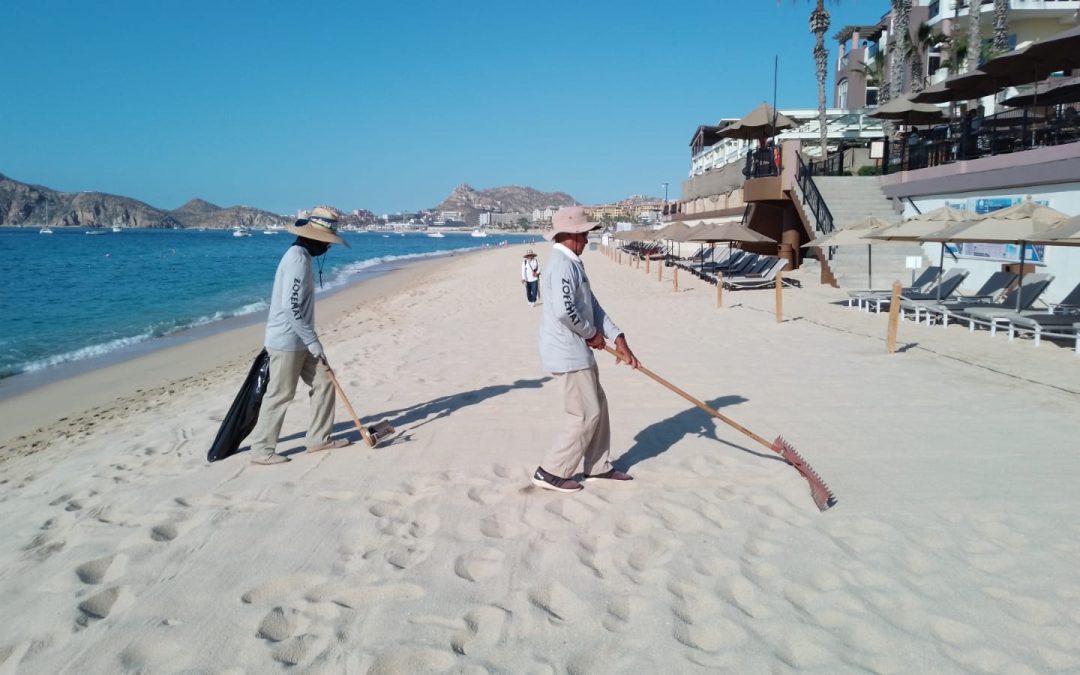 Con trabajo comprometido, Zofemat Los Cabos mantiene la limpieza permanente de las playas