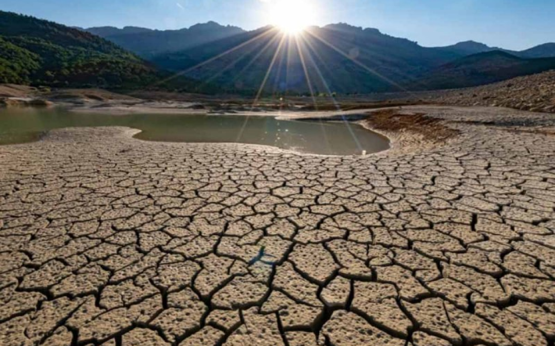 Frente al cambio climático, urge cambio en la regulación de aguas en México: IMCO