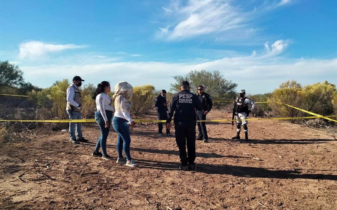 Singladura / La otra violencia