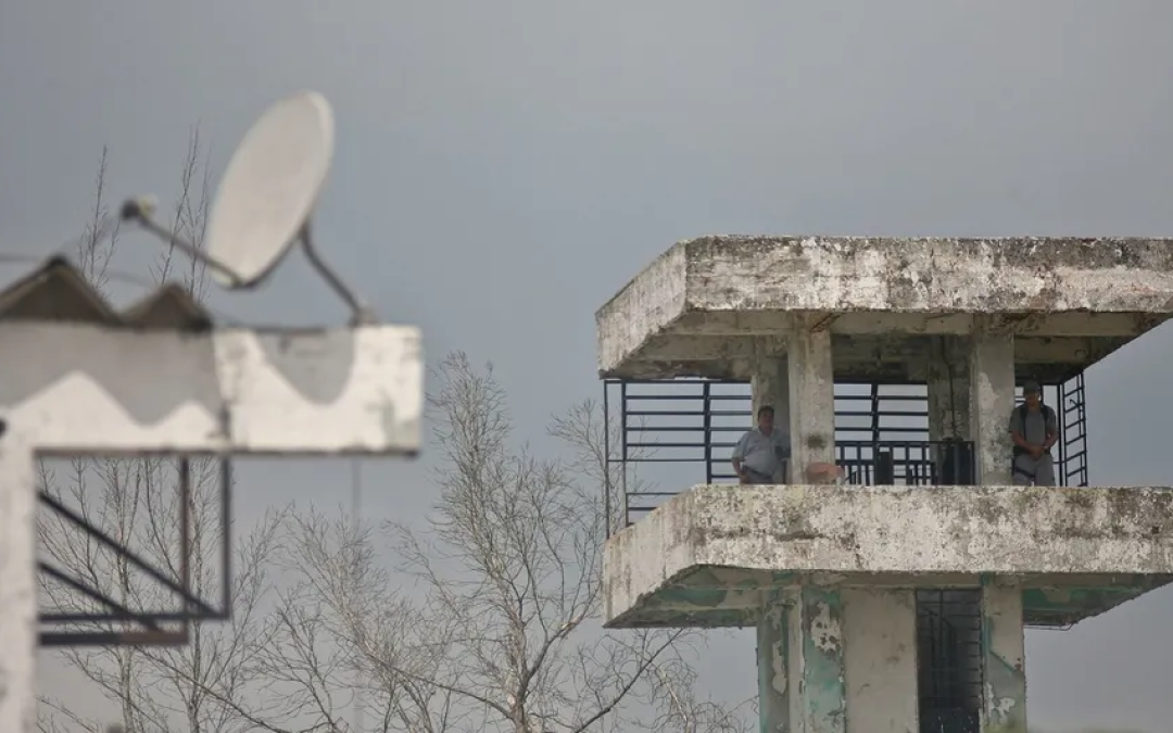 Dan más de 12 años de cárcel a integrantes del cártel del Golfo