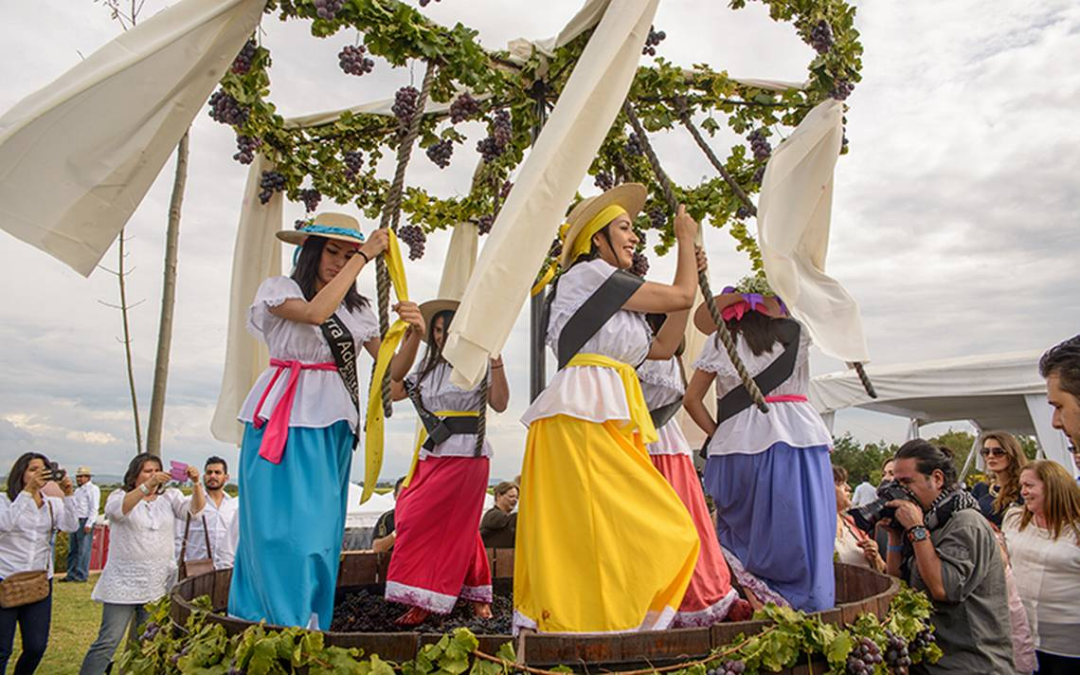 Disfruta de las vendimias de México en estas vacaciones de verano