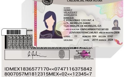 Elección 2024: Estos son los periodos para tramitar la credencial para votar