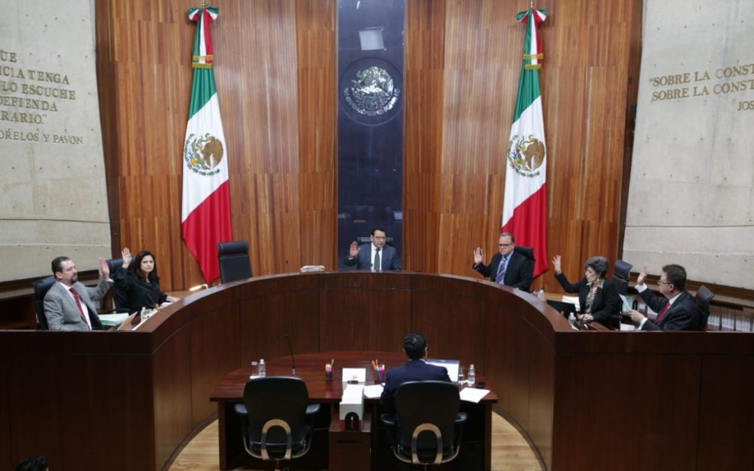 Tribunal Electoral ordena analizar hechos denunciados ante el INE contra aspirantes de Morena