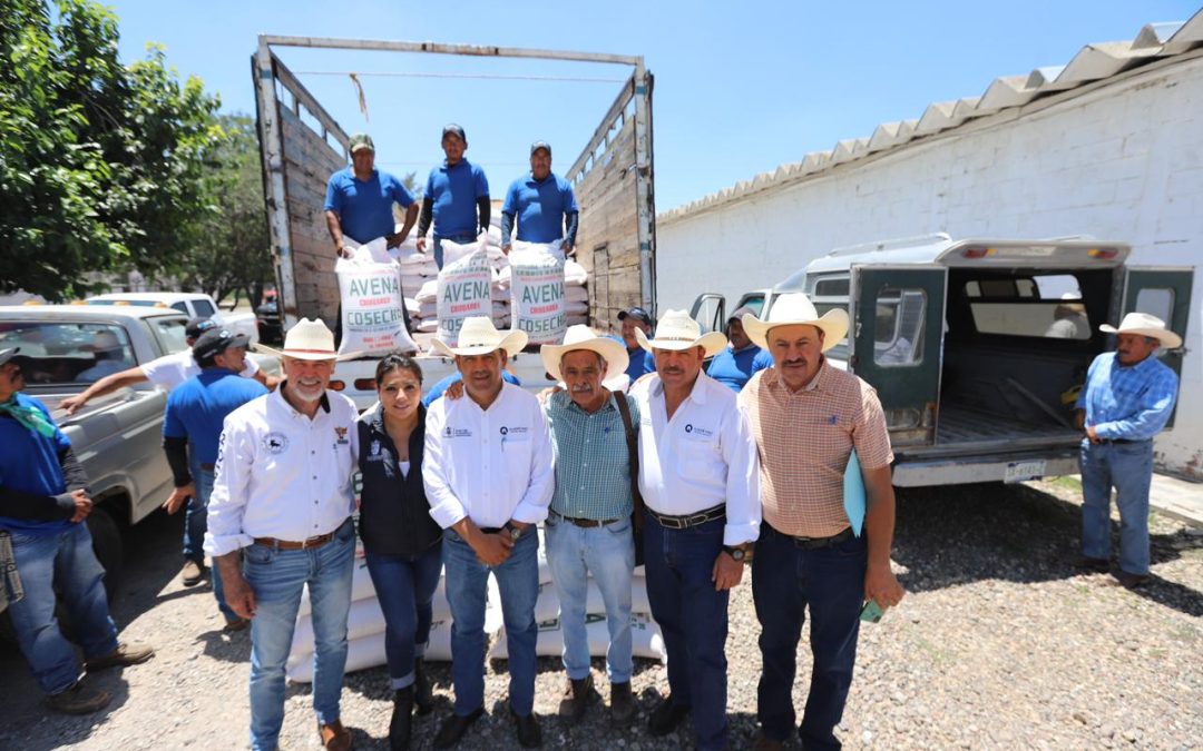 Avanza Sedea en entrega de semilla para impulsar cultivos forrajeros en Querétaro