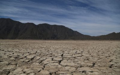 Con sequía 68% de los municipios del país: Conagua