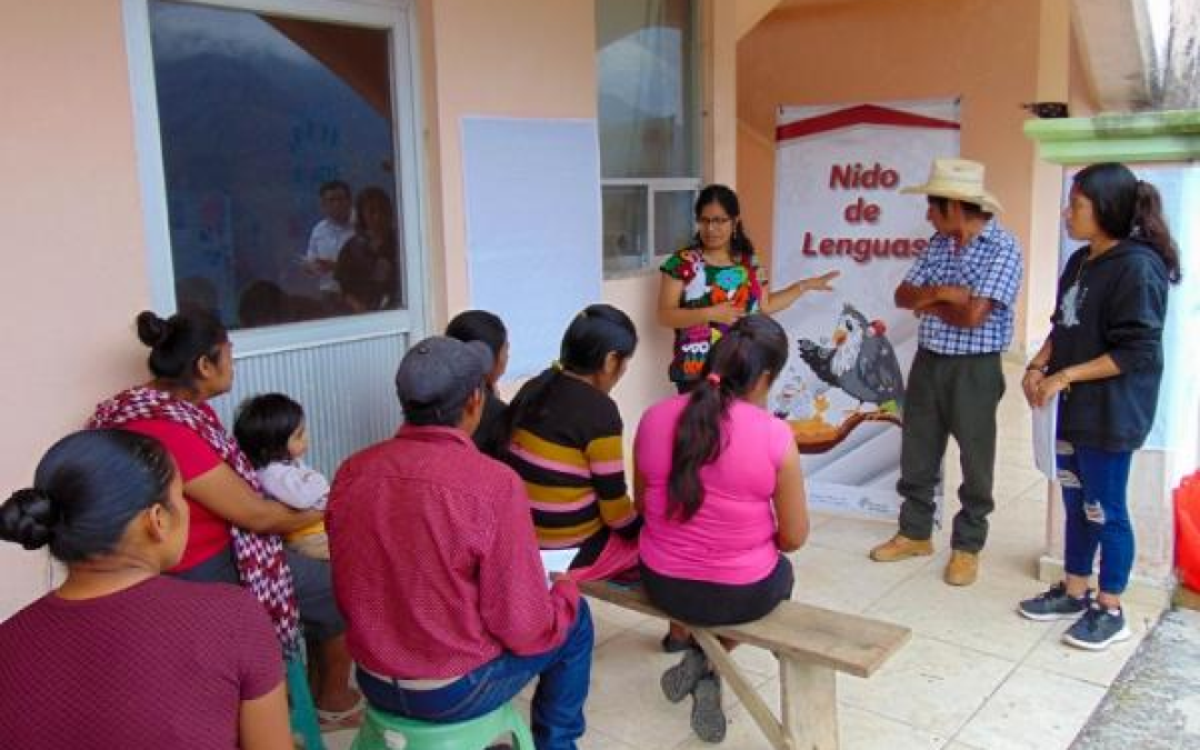 En Puebla, “Nido de Lenguas”busca conservar las lenguas indígenas de las infancias