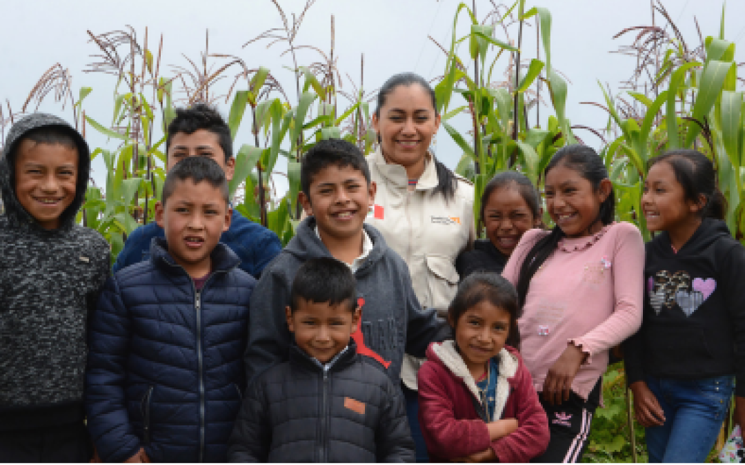 Gobiernos locales sin inversión suficiente en niñez y adolescencia: WVM