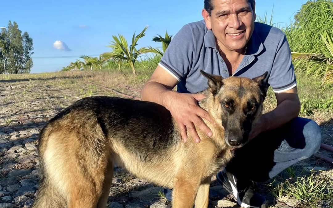 Asesinan a ex alcalde de Ixtlahuacán de los Membrillos, Jalisco