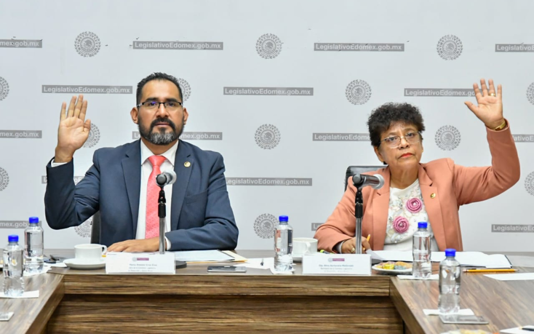 Aprueban sanciones de 12 años de prisión a quien incumpla con “Ley Ingrid” en Edomex
