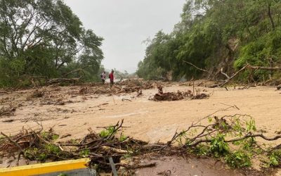 Yo habito, luego existo / Plan de acción para un nuevo Acapulco