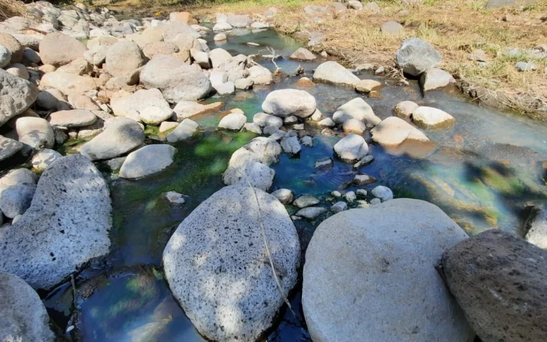 Diageo invertirá 100 mdp para preservación del agua en Jalisco